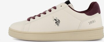 Baskets basses 'Alpha' US POLO ASSN. en beige : devant