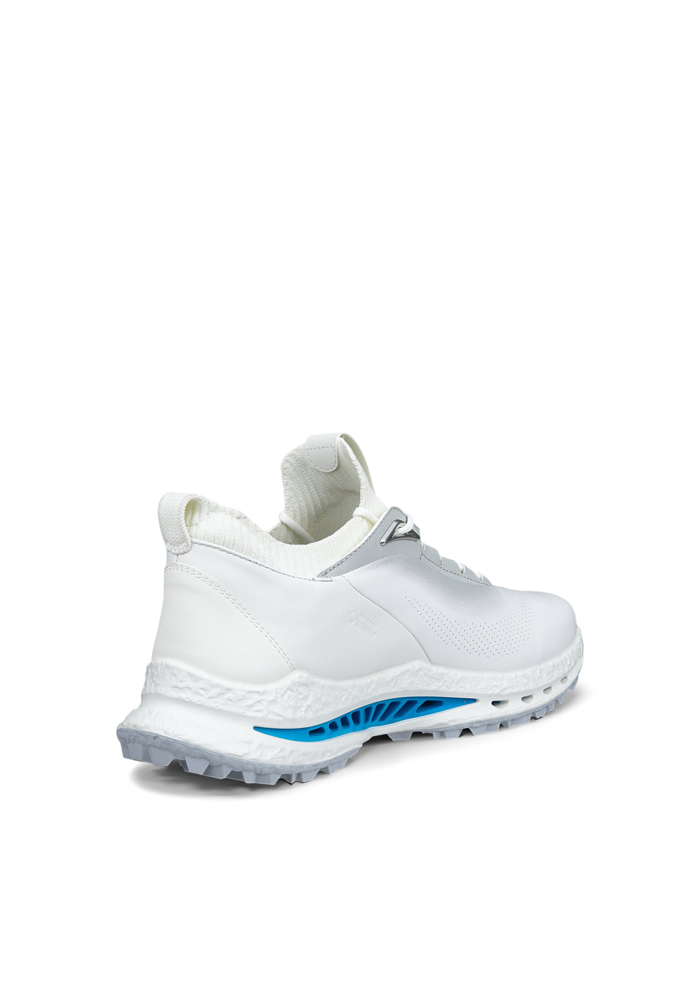 Sneaker bassa 'M GOLF BIOM C5' di ECCO in bianco