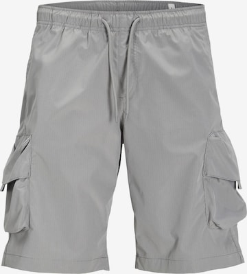 Pantalon cargo JACK & JONES en gris : devant