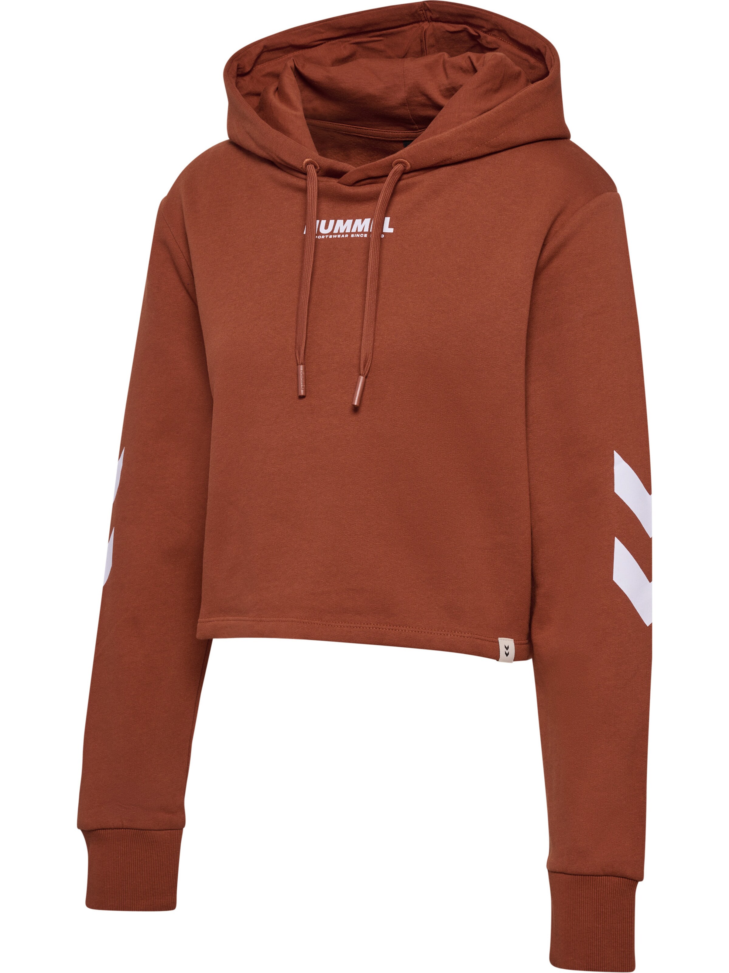 Hummel Sweatshirt 'Legacy' in Brown