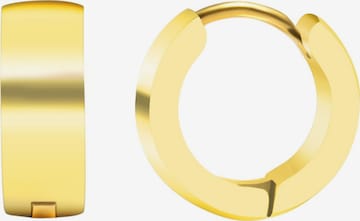 Akzent Earrings 'Gloie, langlebig' in Gold: front