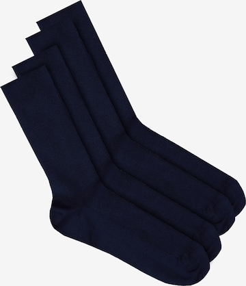 JP1880 Socks in Blue: front