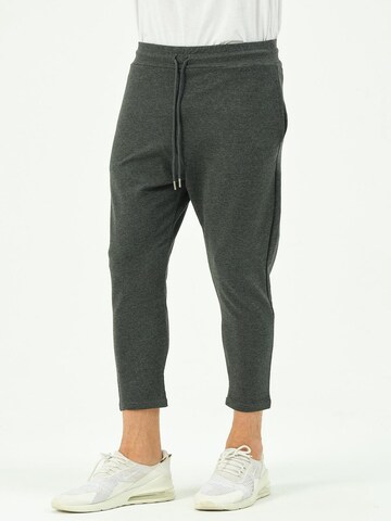 C&City Tapered Pants in Grey