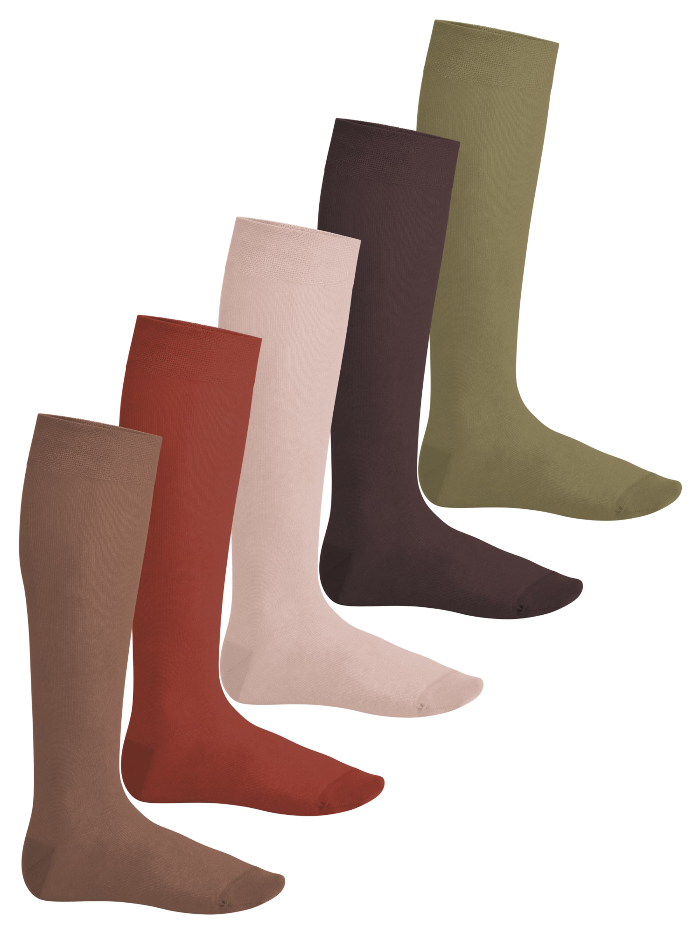 footstar Kniestrümpfe 'EVERYDAY!'‌‌‌‌‌‌‌‌‌‌ in Braun: Vorderseite