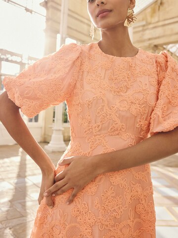 love & roses Klänning i orange