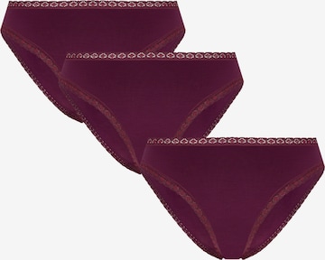 Albero Natur Panty 'Bio-Baumwoll-Slip mit Spitze – 3er Pack' in Purple: front