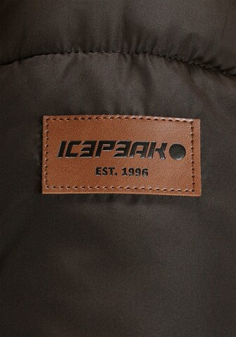 ICEPEAK Winter Coat in Brown