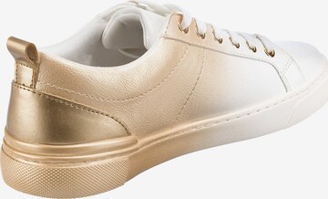 ALDO Sneaker in Gold