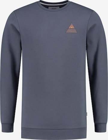 Sweat-shirt Shiwi en gris : devant