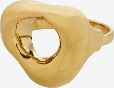 Pilgrim Prsten u zlatna, Pregled proizvoda