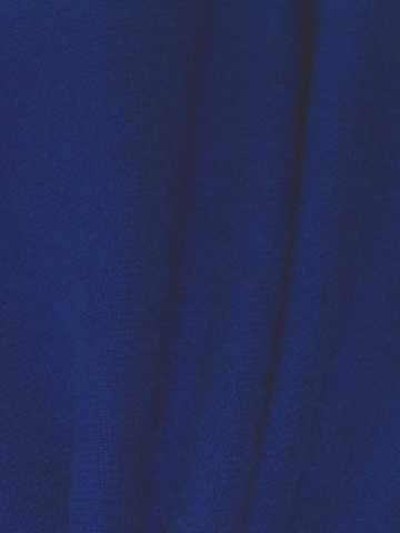 Franco Callegari Trui in Blauw