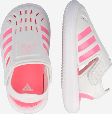 ADIDAS SPORTSWEAR - Zapatos para playa y agua en blanco