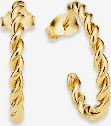 BRUNO BANANI Earrings in Gold