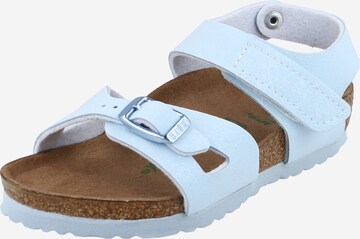 Sandales 'Colorado' BIRKENSTOCK en bleu : devant