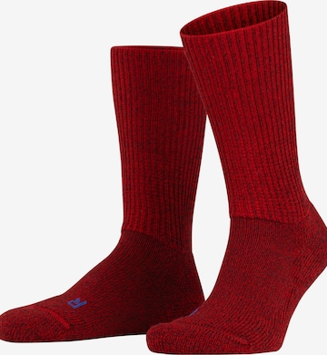FALKE Socks 'Walkie Ergo' in Red: front