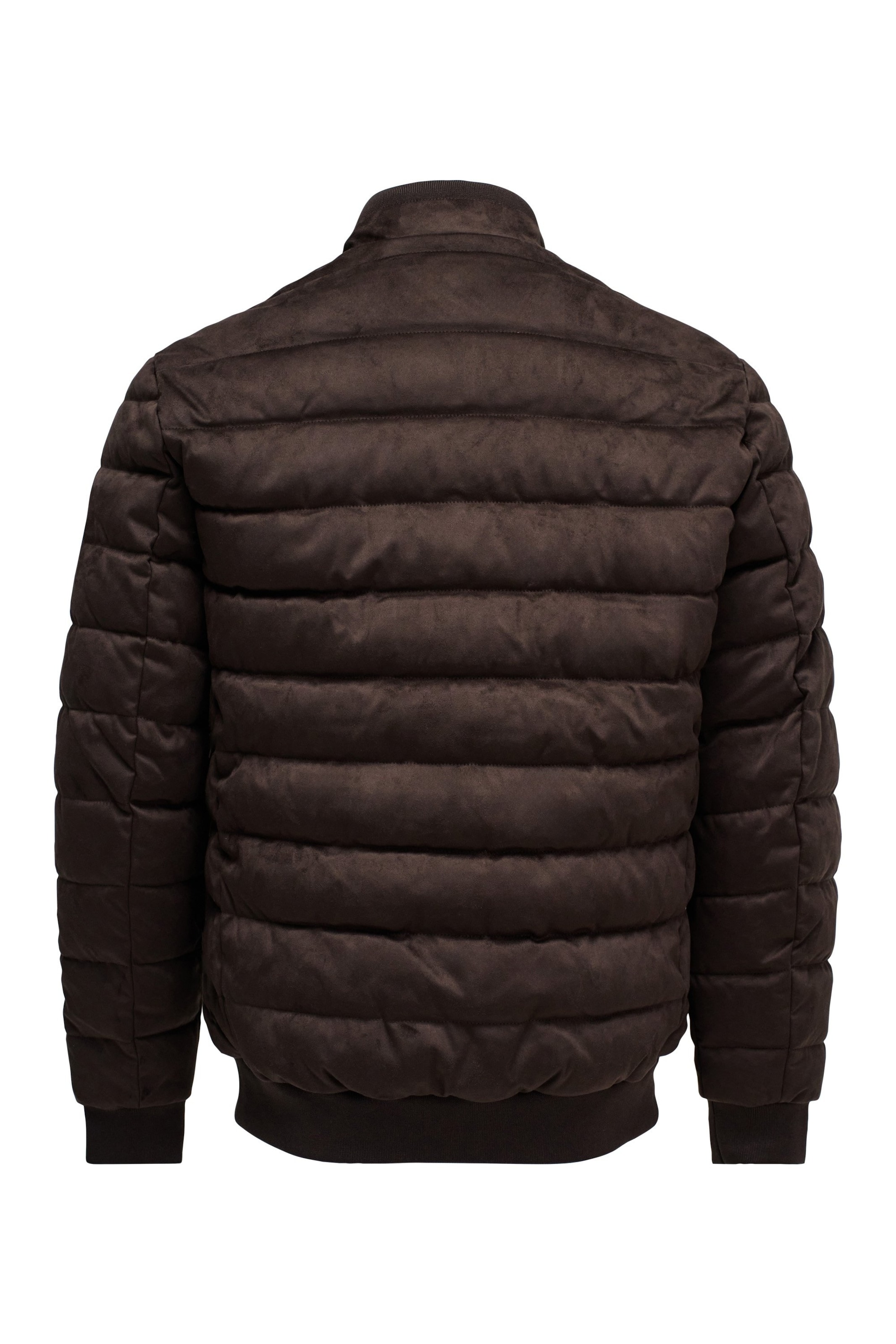 Salsa Jeans Winterjas in Bruin