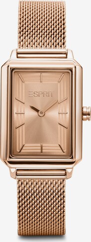 ESPRIT Analoguhr in Gold: predná strana