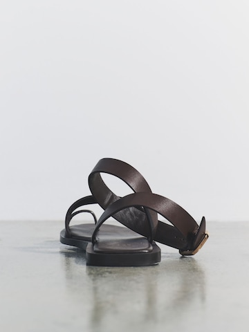 The Set Teenslipper in Bruin