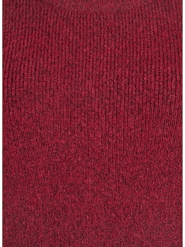 Zizzi Trui 'Cavilma' in Rood