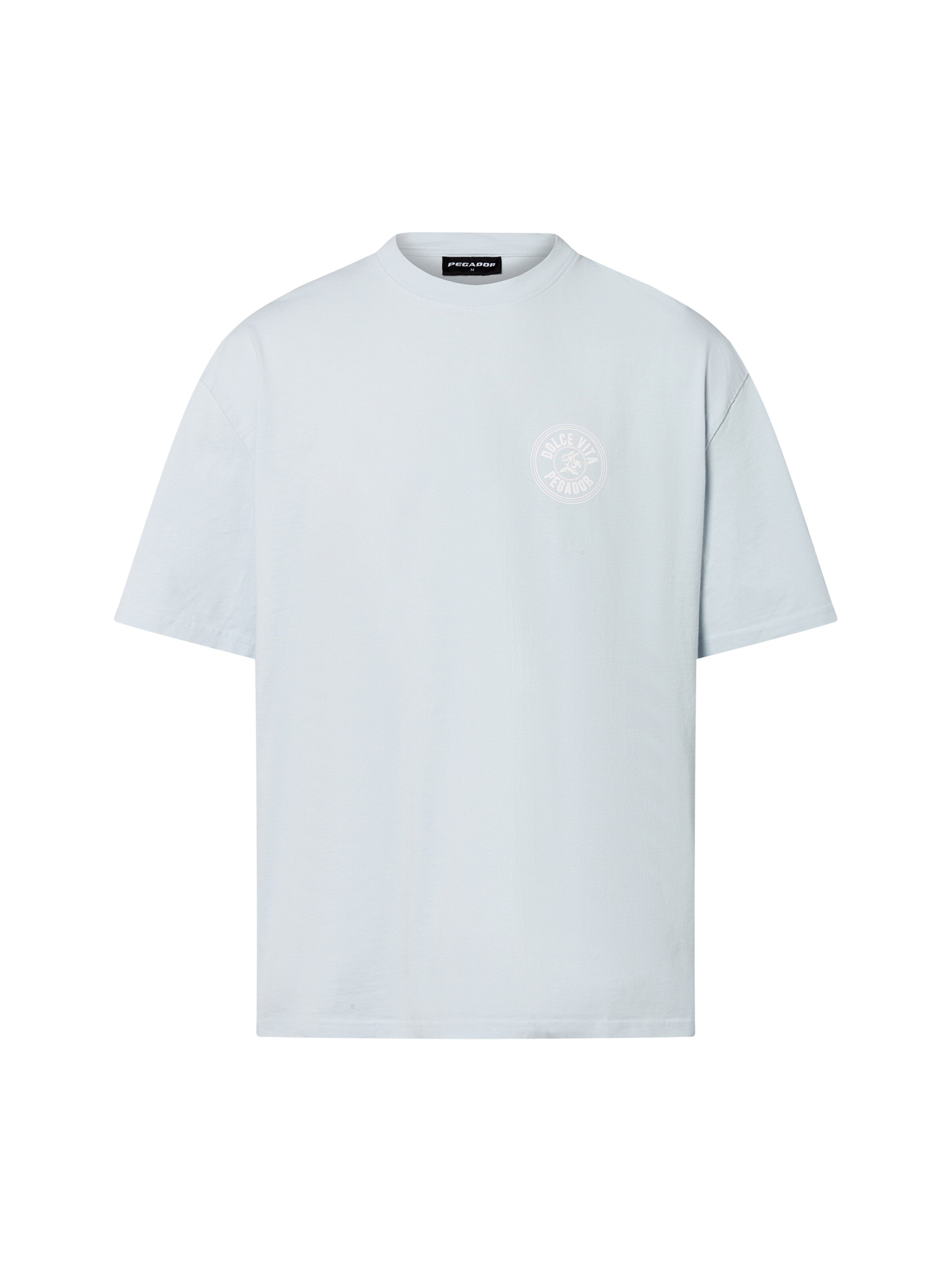 Pegador T-Shirt 'Caberry' en bleu clair / blanc, Vue avec produit