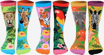 United Odd Socks Socken in aqua / hellgrün / lila / orange, Produktansicht
