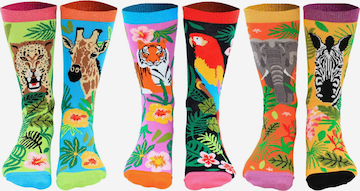 United Odd Socks Sokken in Gemengde kleuren: voorkant