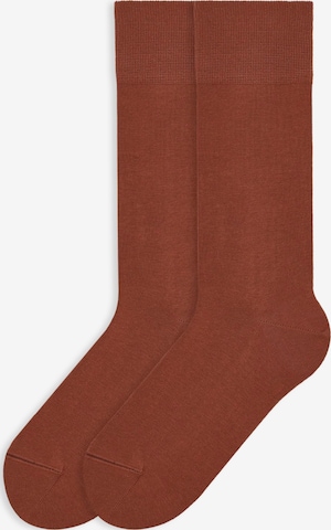 Von Jungfeld Socks 'Herbstfarben' in Brown: front