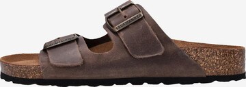 SALAMANDER Pantolette 'Basic' in Braun: Vorderseite