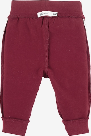 STERNTALER Regular Pants 'Elia' in Red