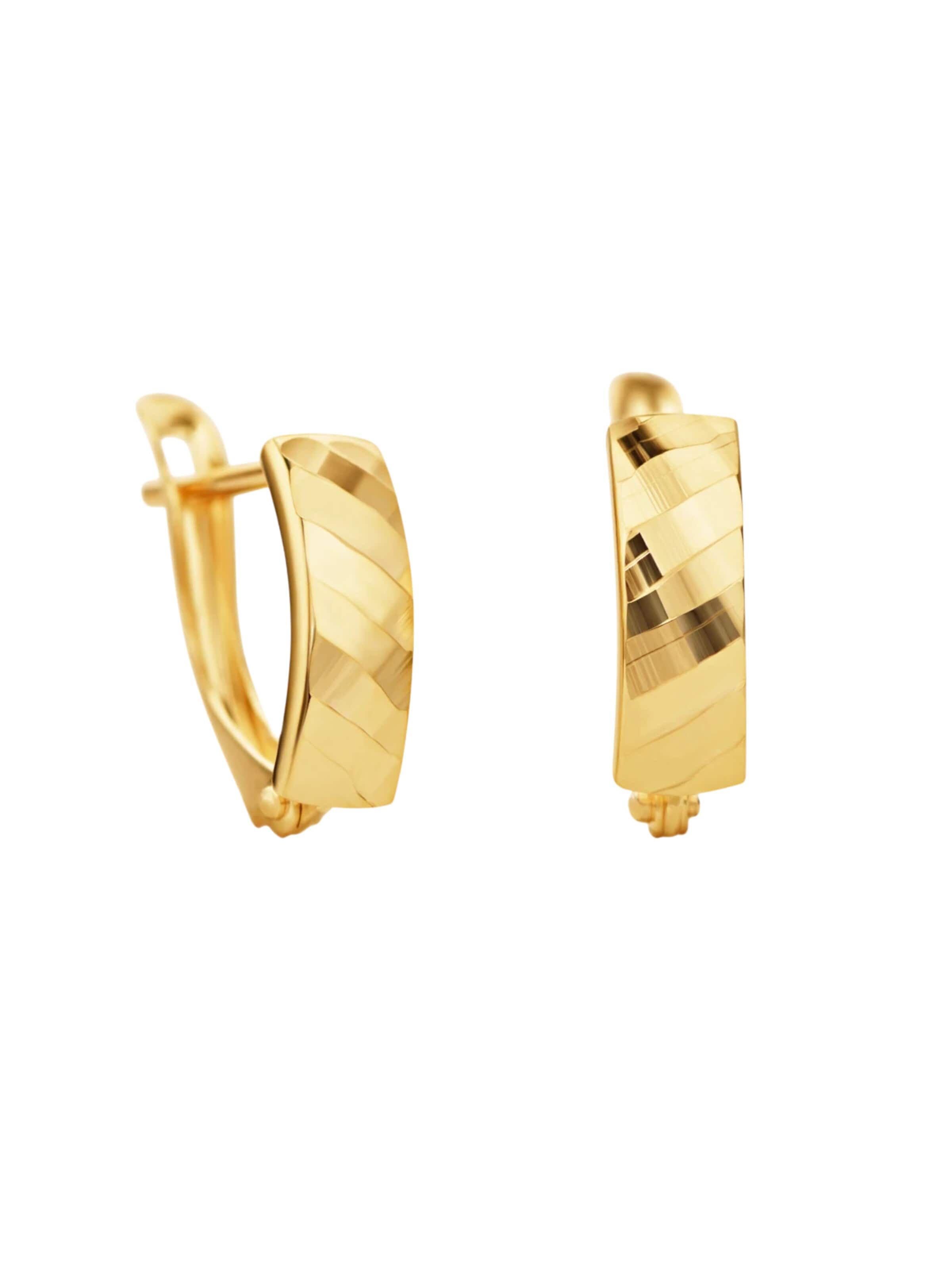 DIAMANT LETERNEL Earrings in Gold: front