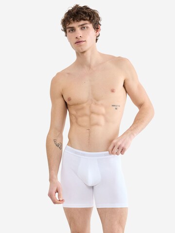 SLOGGI Boxershorts ' SLG Base ' in Wit: voorkant