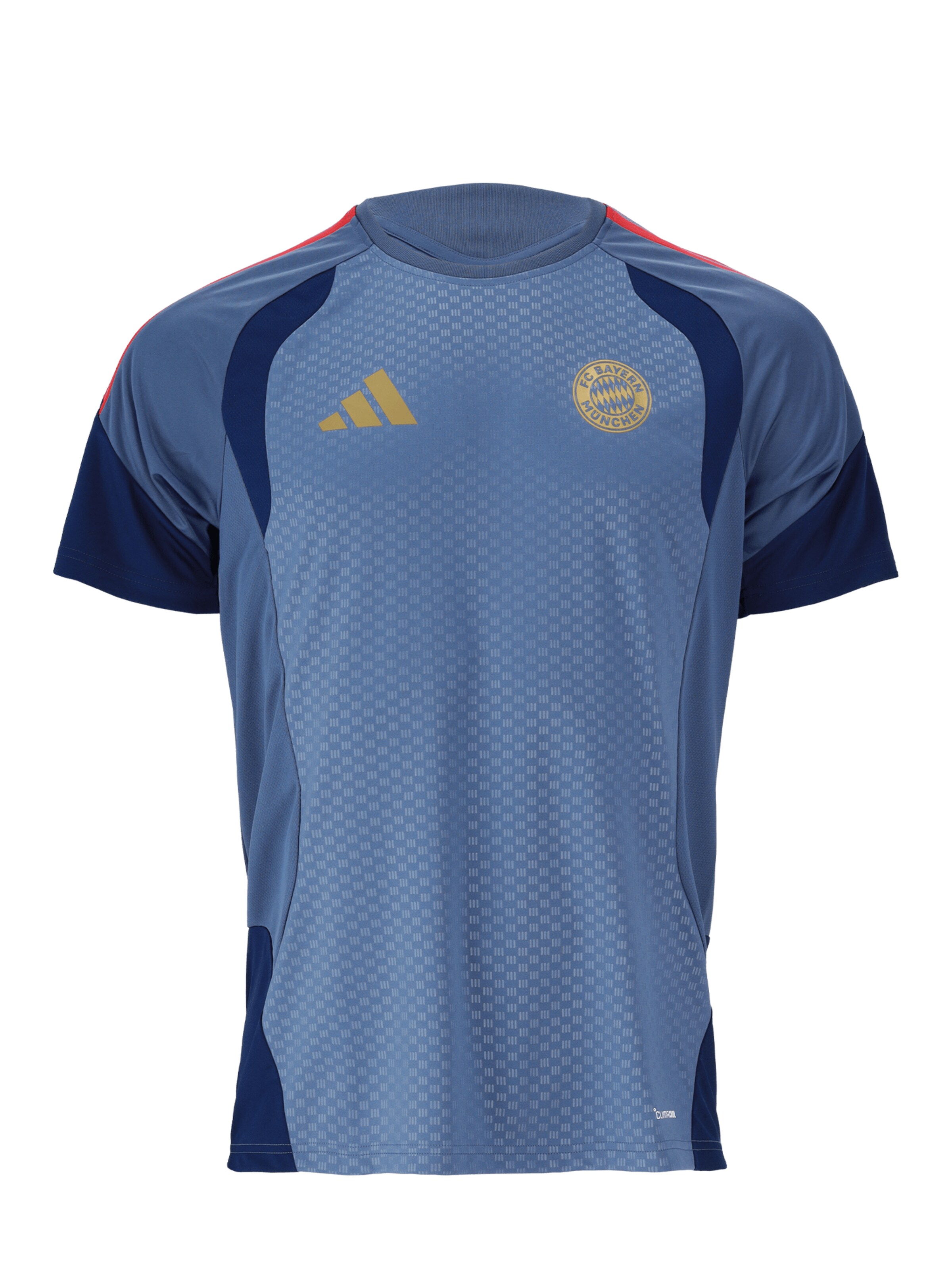 ADIDAS PERFORMANCE Shirt in Blue: front