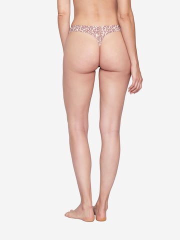 String ' Sensation ' JOOP! en beige