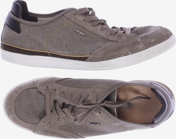 GEOX Sneakers & Trainers in 44 in Brown: front