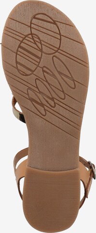 Kickers Strap Sandals in Brown