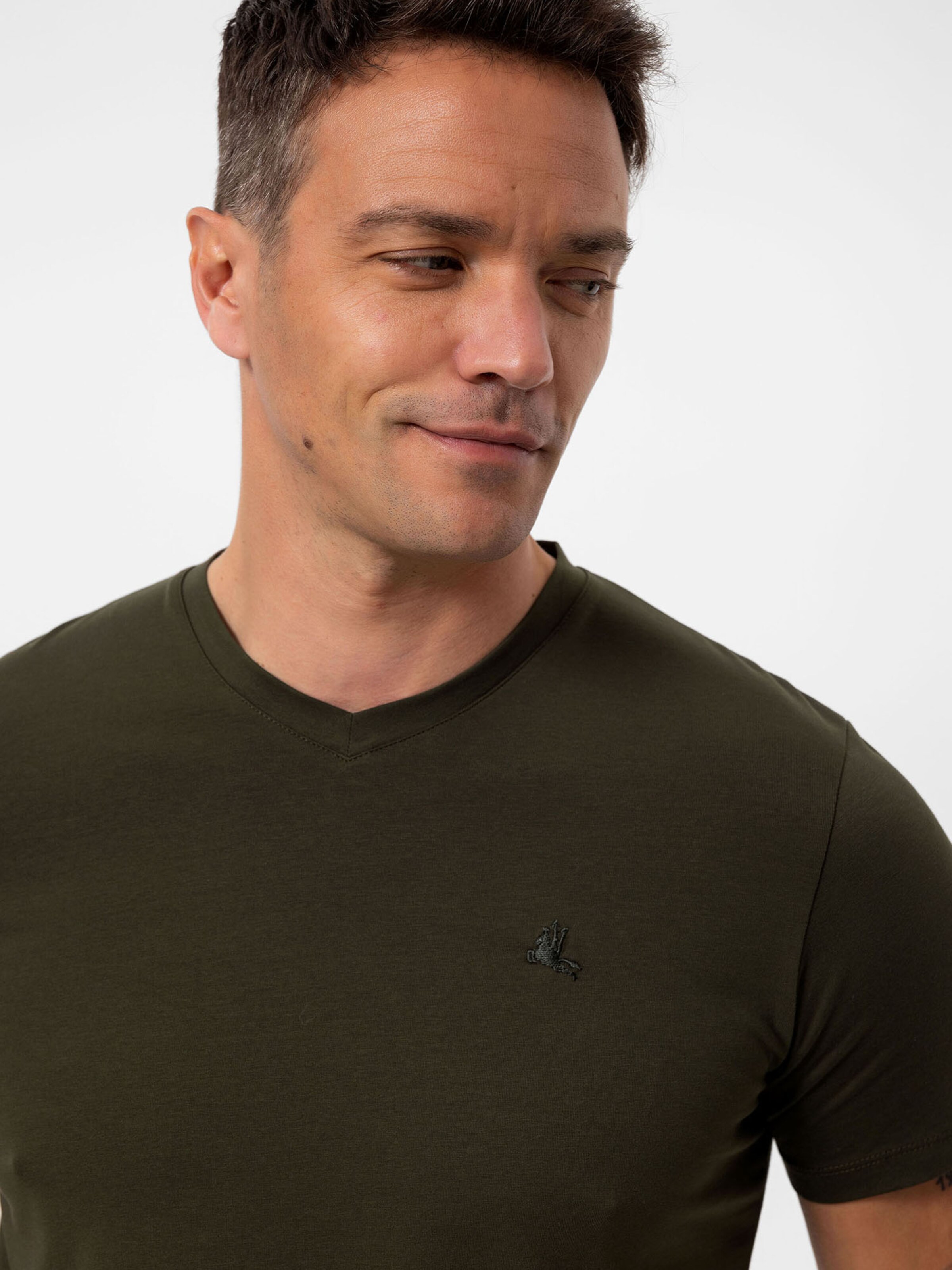 Daniel Hills Bluser & t-shirts i grøn