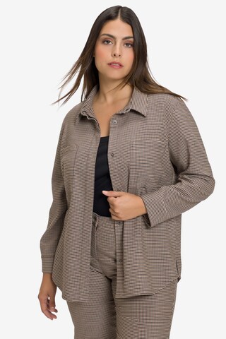 Ulla Popken Blouse in Brown: front