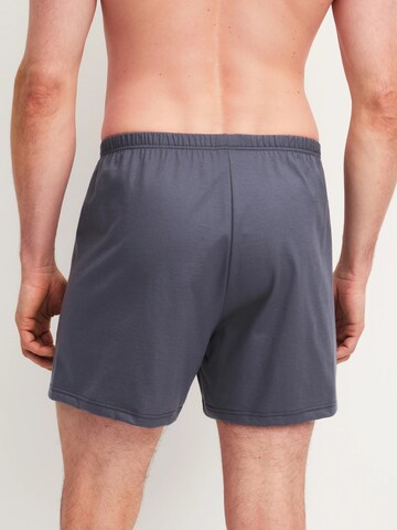 CALIDA Boxer shorts 'Cotton Special' in Black