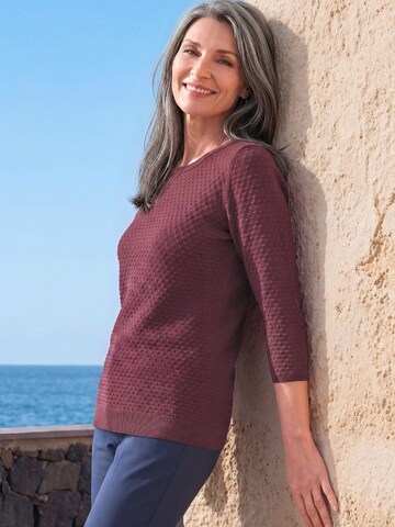 Goldner Pullover in Lila