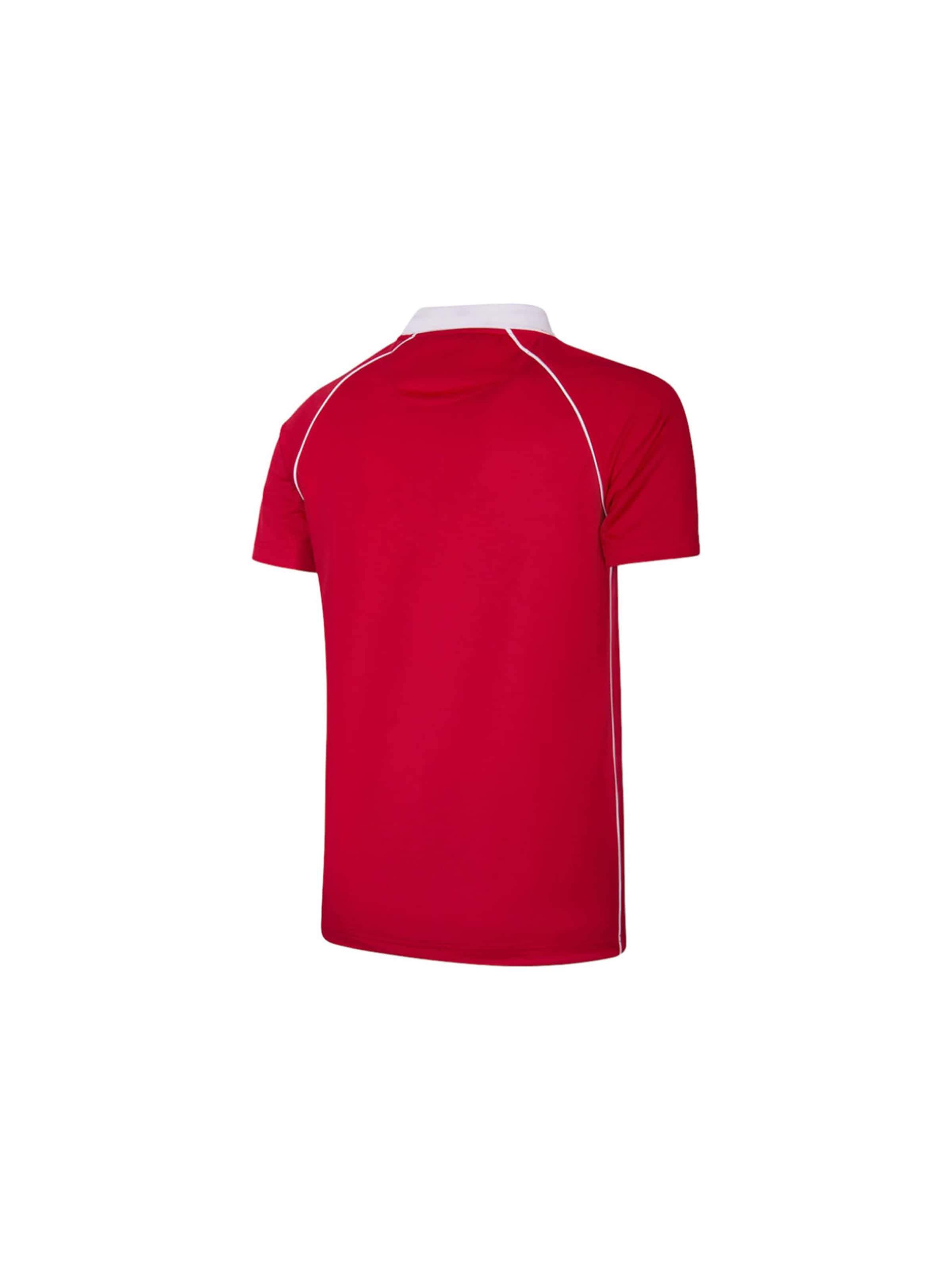 Copa Jersey 'Retro SL Benfica 1984/85' in Red