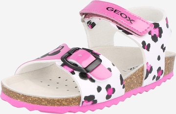 GEOX Sandals 'J ADRIEL' in Pink: front