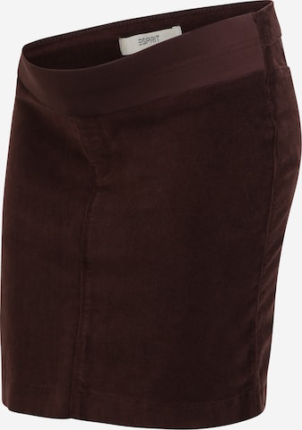 Esprit Maternity Skirt 'UTB' in Brown: front