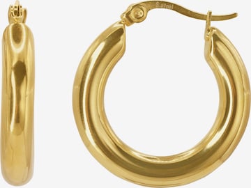 Heideman Earrings 'Marcus ' in Gold: front