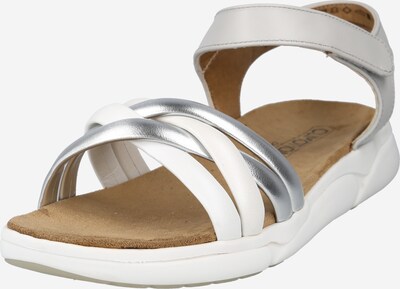 CAPRICE Sandálias com tiras em cinzento claro / prata / branco, Vista do produto