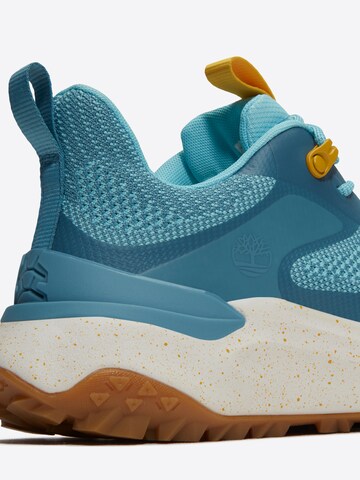 TIMBERLAND Низкие кроссовки в Синий