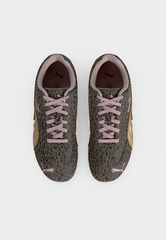 PUMA Sneakers 'Speedcat' in Brown