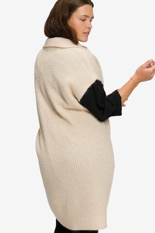 Studio Untold Pullover in Beige