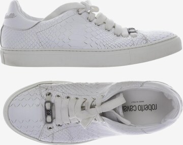 roberto cavalli Sneakers & Trainers in 40 in White: front