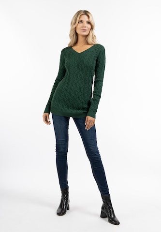 usha BLUE LABEL Sweater in Green