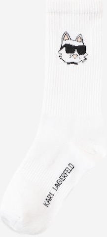 Chaussettes Karl Lagerfeld en blanc : devant